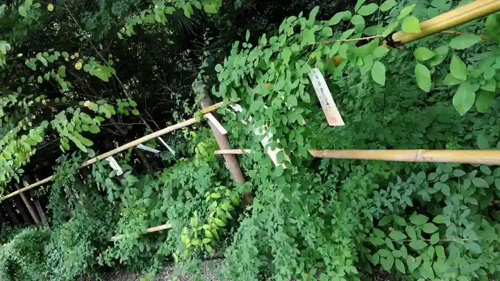 梨木神社(京都府)