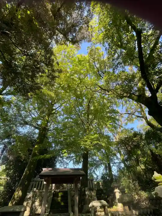 若宮神明社(愛知県)