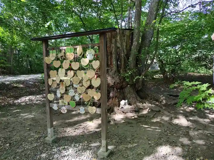 帯廣神社の絵馬