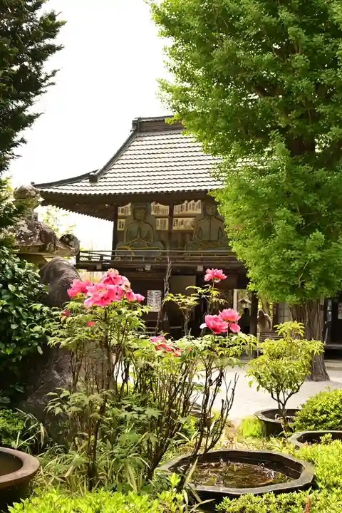 野坂寺(埼玉県)