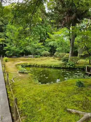 薬師寺の御朱印