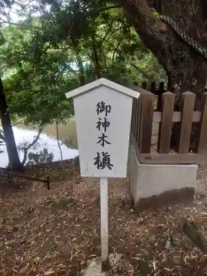 安房神社(千葉県)