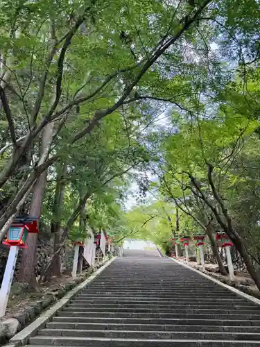 法輪寺(京都府)
