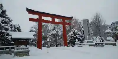 北海道護國神社の鳥居