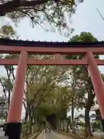 武蔵一宮氷川神社(埼玉県)