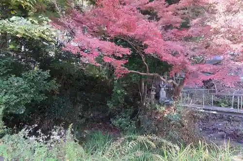 大雲寺（岩倉観音）(京都府)