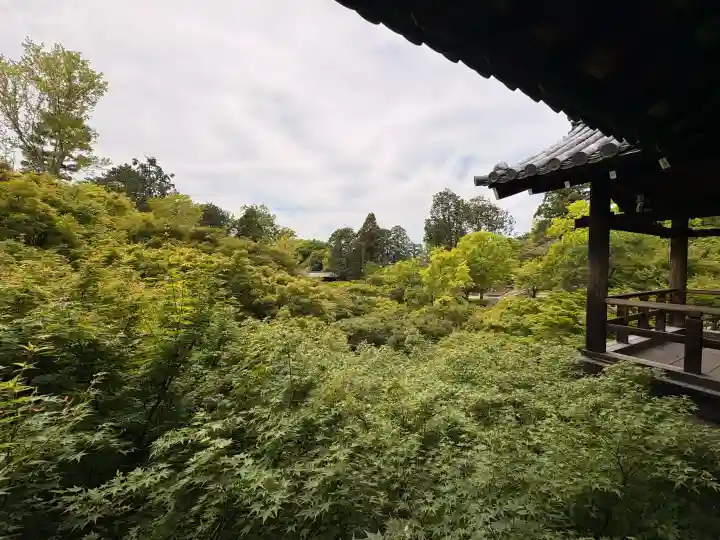 東福禅寺(東福寺)(京都府)
