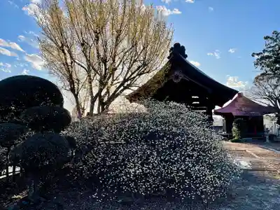 全水寺(栃木県)