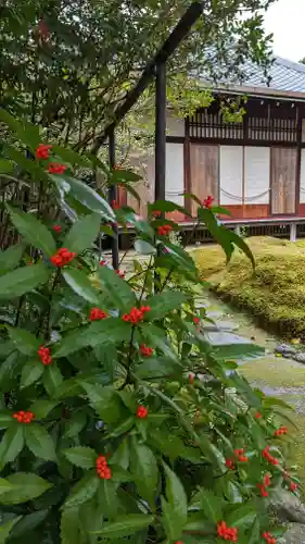 霊鑑寺門跡(京都府)