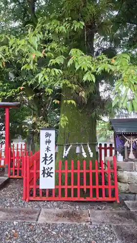 本宮神社(高知県)