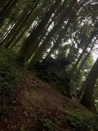 白鳥神社の建物その他