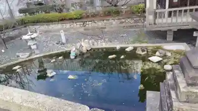 六孫王神社(京都府)