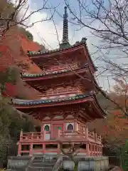 三室戸寺(京都府)