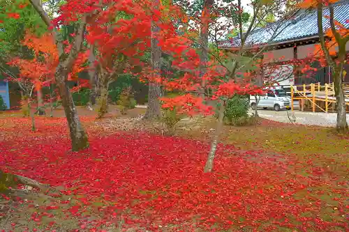 仁和寺の庭園