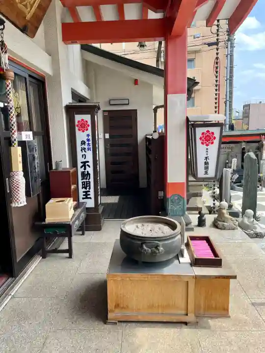圓照寺の{uncategorized: "未分類", other: "その他", undefined: "問題あり", building: "その他建物", grave: "お墓", sacred_gate: "鳥居", guardian: "狛犬", statue: "像", buddha: "仏像", history: "歴史", nature: "自然", garden: "庭園", animal: "動物", pagoda: "塔", temizu: "手水舎", mountain_gate: "山門・神門", sanctuary: "本殿・本堂", subordinate: "末社・摂社", art: "芸術", scenery: "景色", jizo: "地蔵", ema: "絵馬", goshuin: "御朱印", omikuji: "おみくじ", items: "授与品その他", amulet: "お守り", goshuincho: "御朱印帳", eats: "食事", festival: "お祭り", votive_dance: "神楽", shichigosan: "七五三参", wedding: "結婚式", experience: "体験その他", initially: "初詣", around: "周辺", anti_infection: "感染症対策"}