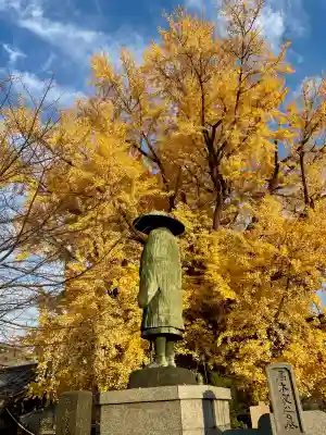善福寺(東京都)