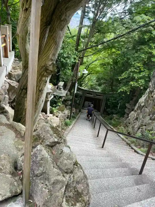 阿賀神社(滋賀県)