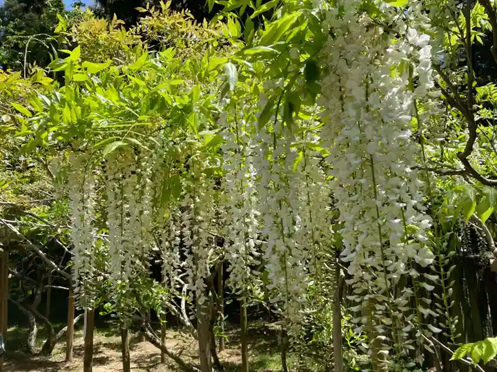 春日大社(奈良県)