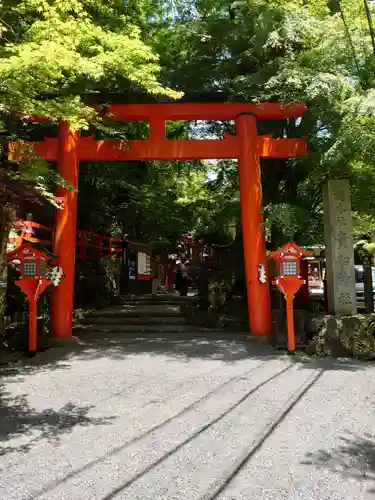 貴船神社の鳥居