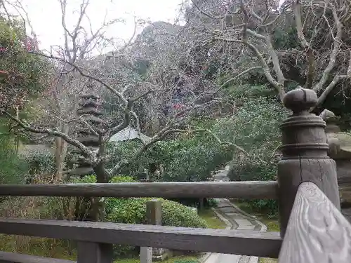 安國論寺（安国論寺）の庭園