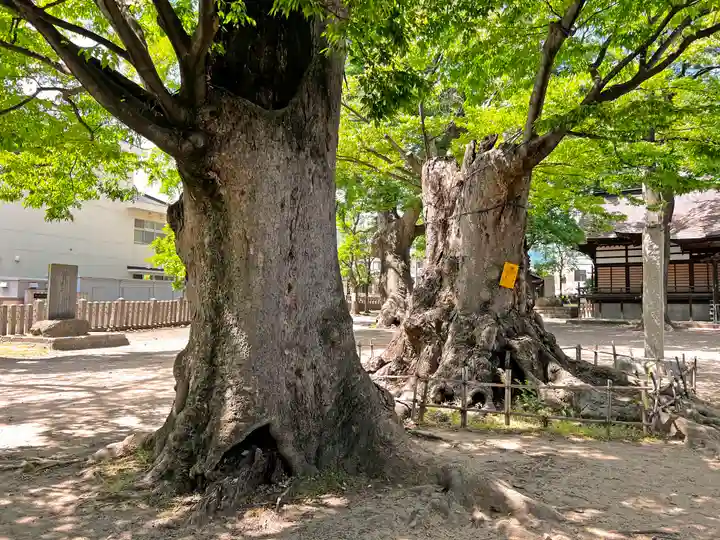 美和神社の自然