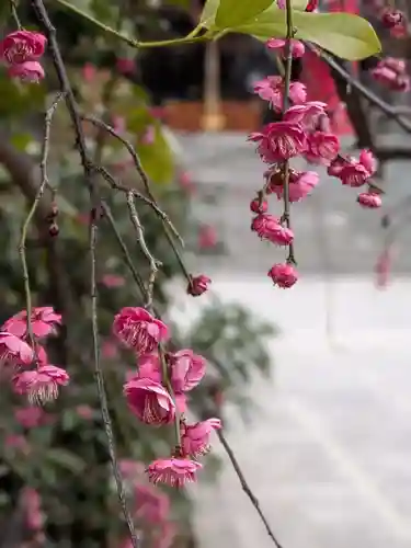 成子天神社(東京都)