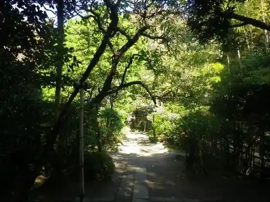 富陽庵のその他建物