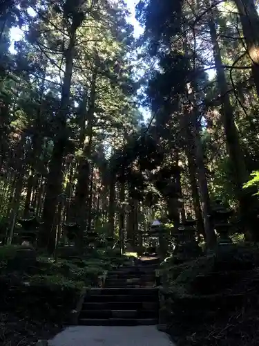 上色見熊野座神社の自然
