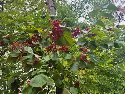 円蔵寺(福島県)