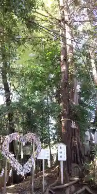 座間神社(神奈川県)