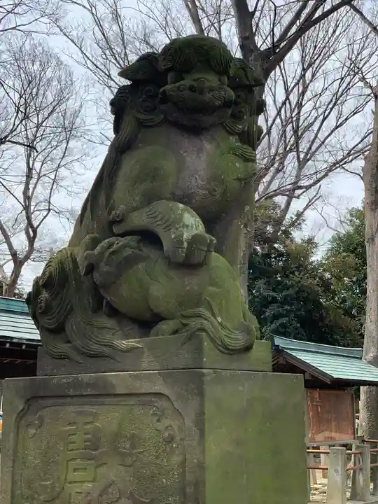 神明大神(中丸子神社)の狛犬