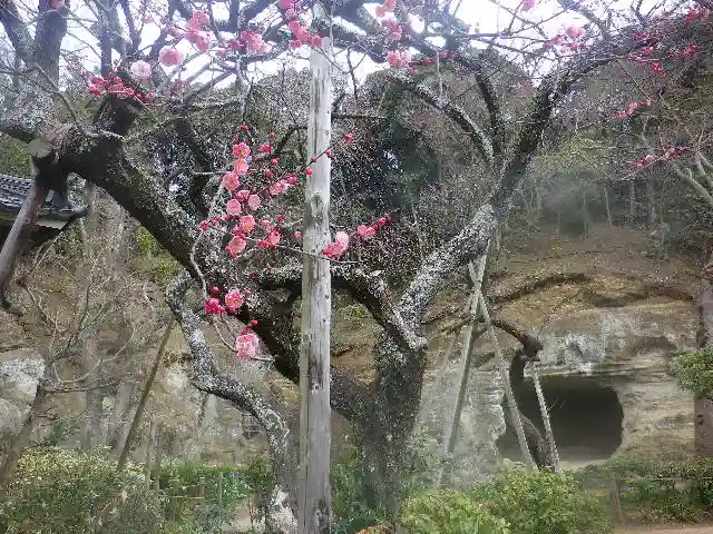 瑞泉寺のその他建物