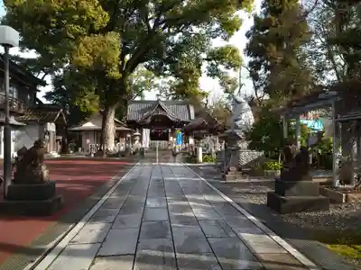 小津神社(高知県)