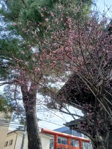 猿田彦神社の{uncategorized: "未分類", other: "その他", undefined: "問題あり", building: "その他建物", grave: "お墓", sacred_gate: "鳥居", guardian: "狛犬", statue: "像", buddha: "仏像", history: "歴史", nature: "自然", garden: "庭園", animal: "動物", pagoda: "塔", temizu: "手水舎", mountain_gate: "山門・神門", sanctuary: "本殿・本堂", subordinate: "末社・摂社", art: "芸術", scenery: "景色", jizo: "地蔵", ema: "絵馬", goshuin: "御朱印", omikuji: "おみくじ", items: "授与品その他", amulet: "お守り", goshuincho: "御朱印帳", eats: "食事", festival: "お祭り", votive_dance: "神楽", shichigosan: "七五三参", wedding: "結婚式", experience: "体験その他", initially: "初詣", around: "周辺", anti_infection: "感染症対策"}