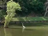 牟禮山観音禅寺の景色