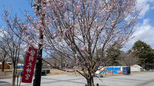 櫻岡大神宮の自然