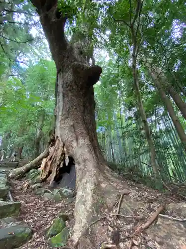 熊野那智大社(和歌山県)