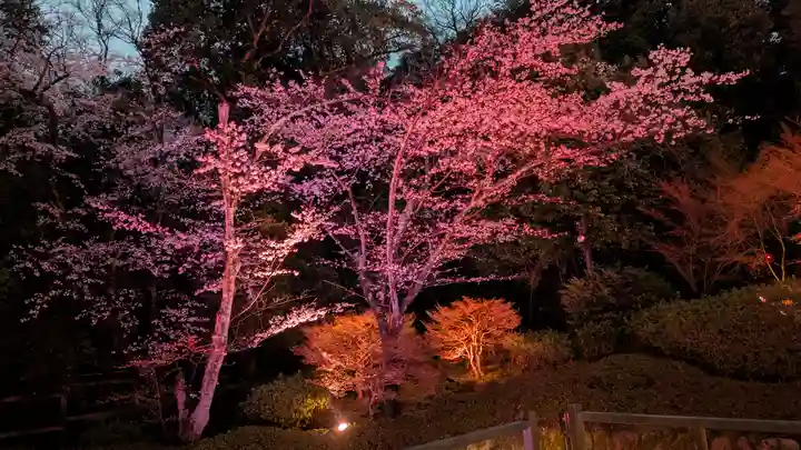 知恩院(京都府)