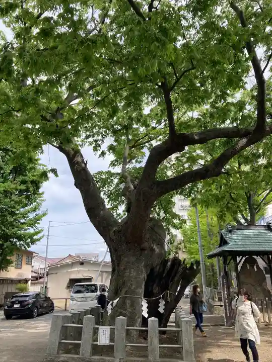 阿邪訶根神社の自然