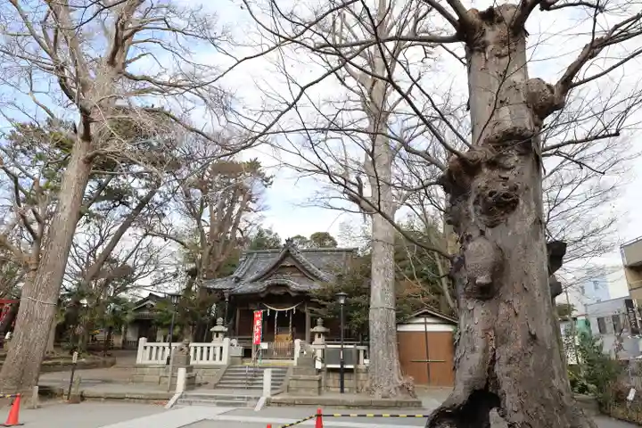 亀岡八幡宮(亀岡八幡神社)(神奈川県)