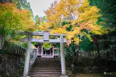 国造神社(熊本県)
