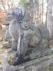 樺山神社の狛犬