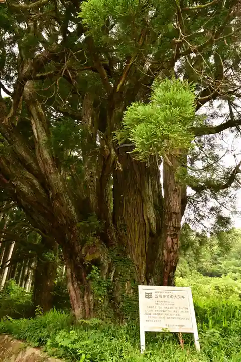 五所神社(徳島県)