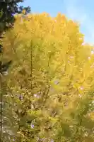 佐野原神社の自然