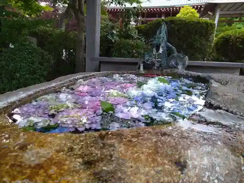 櫟野寺の手水舎