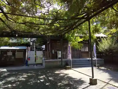 國領神社の本殿・本堂