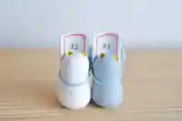 浄土寺のおみくじ