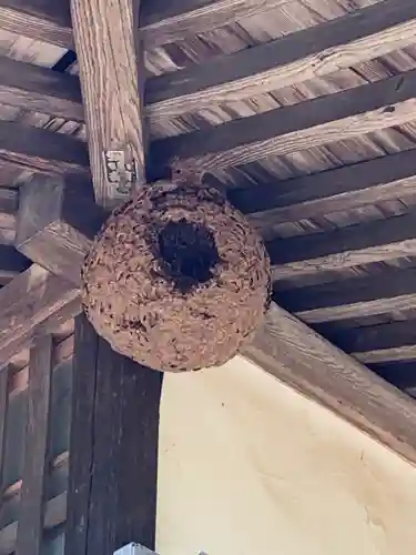 光厳寺の建物その他