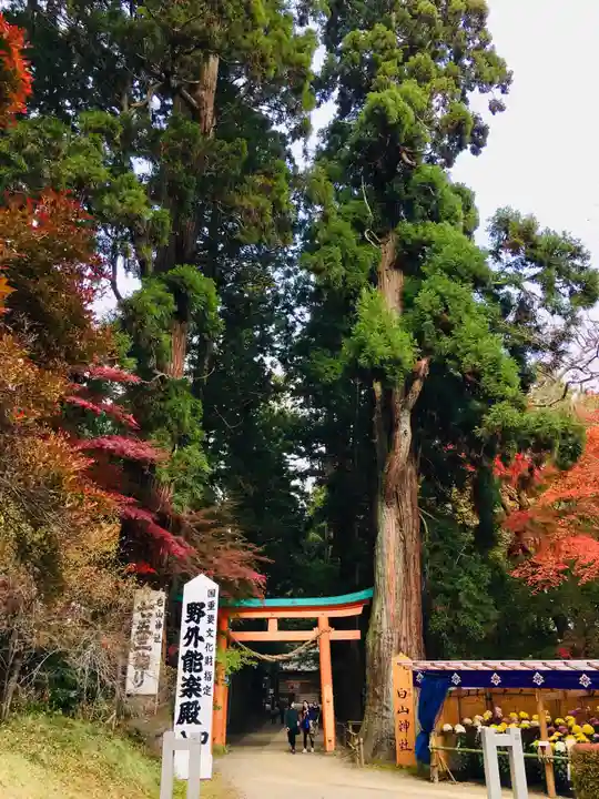 中尊寺本堂の自然