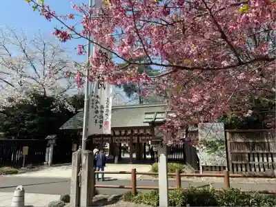 櫻木神社(千葉県)
